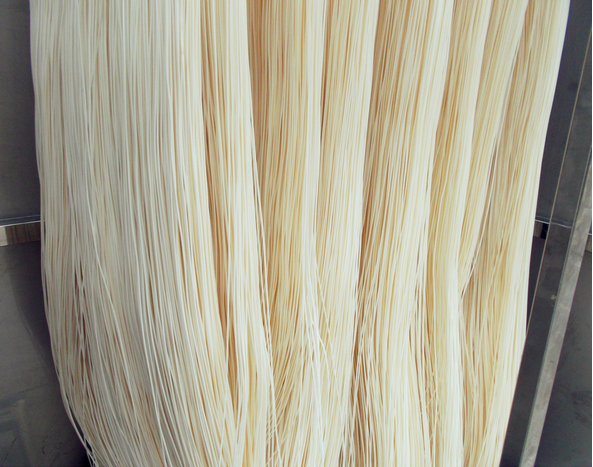 MBR membrane curtain model: JHM-MBR-I15