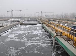 Biological carrier  model: PE09