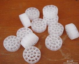 Biological carrier  model: PE05