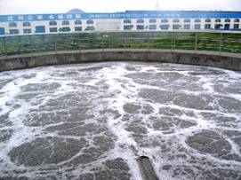 Biological carrier  model: PE10